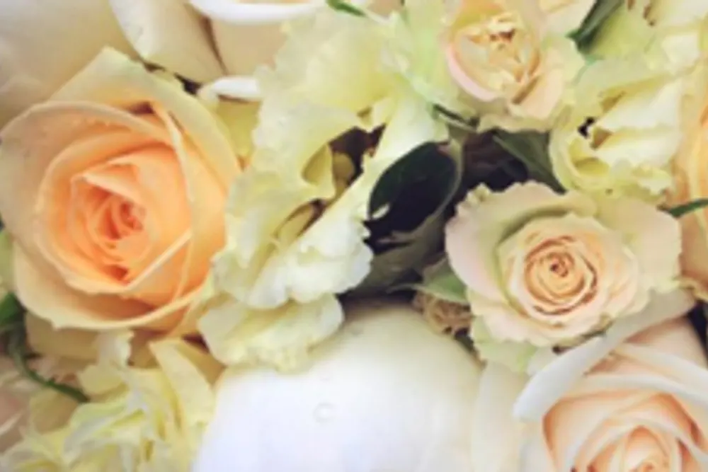 Florists Chandlers Ford - The Flower Shop
