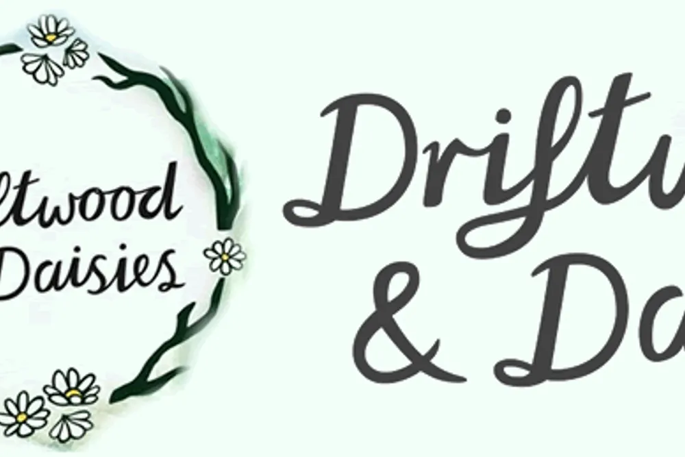 Driftwood and Daisies Florist