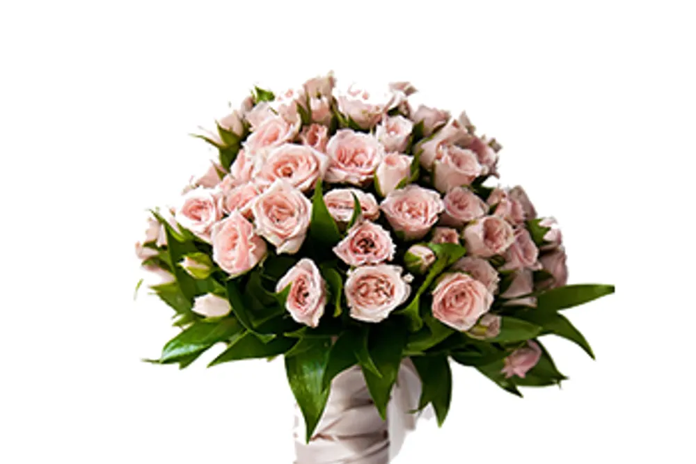 Sanita's Flowers