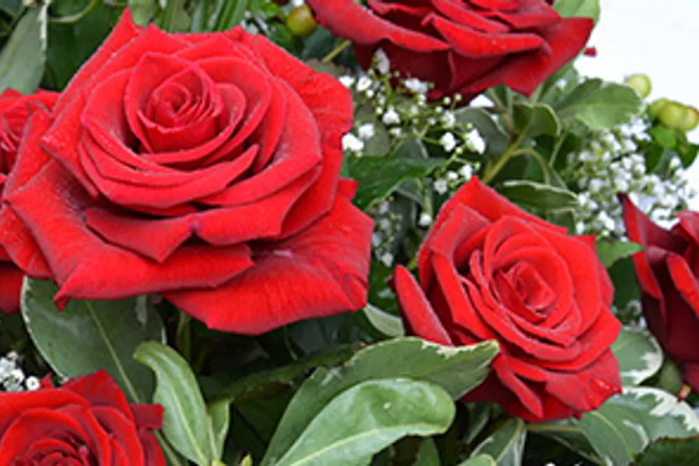 Simply Flowers