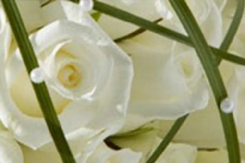 Bonnie Fleurs Florist