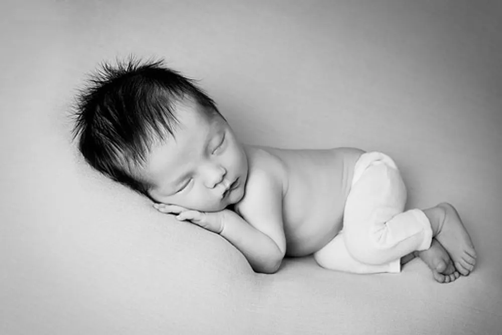 michelle sinclair photography