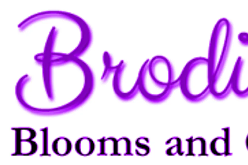 Brodie's Blooms & Gifts