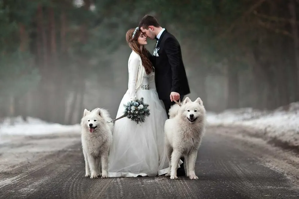 Woof Woof Weddings