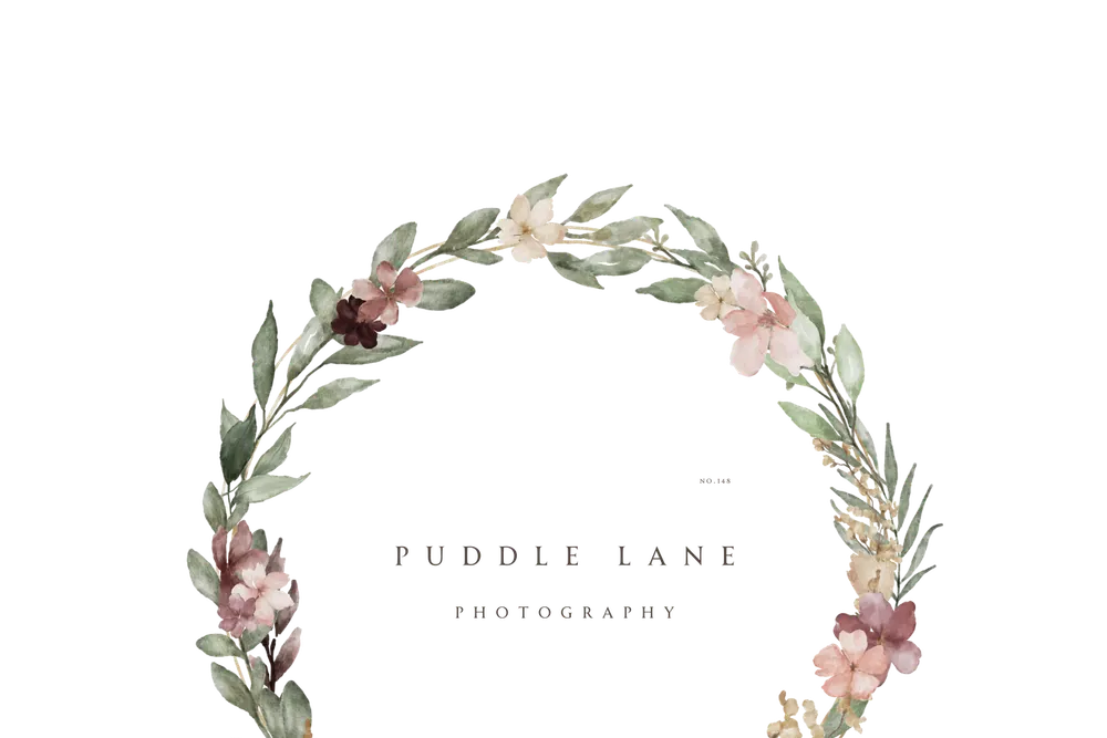 Puddle Lane Photography