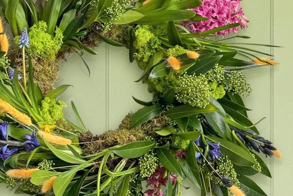 The Flower Plant