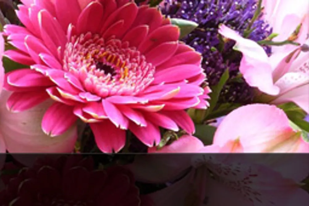Apple Blossom Flower Shop