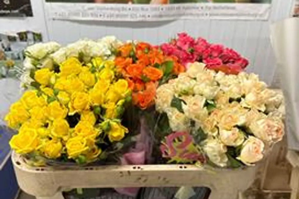 Central Flower Sales LTD