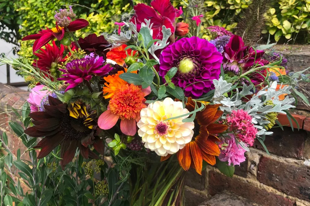 Pip Bensley Flowers
