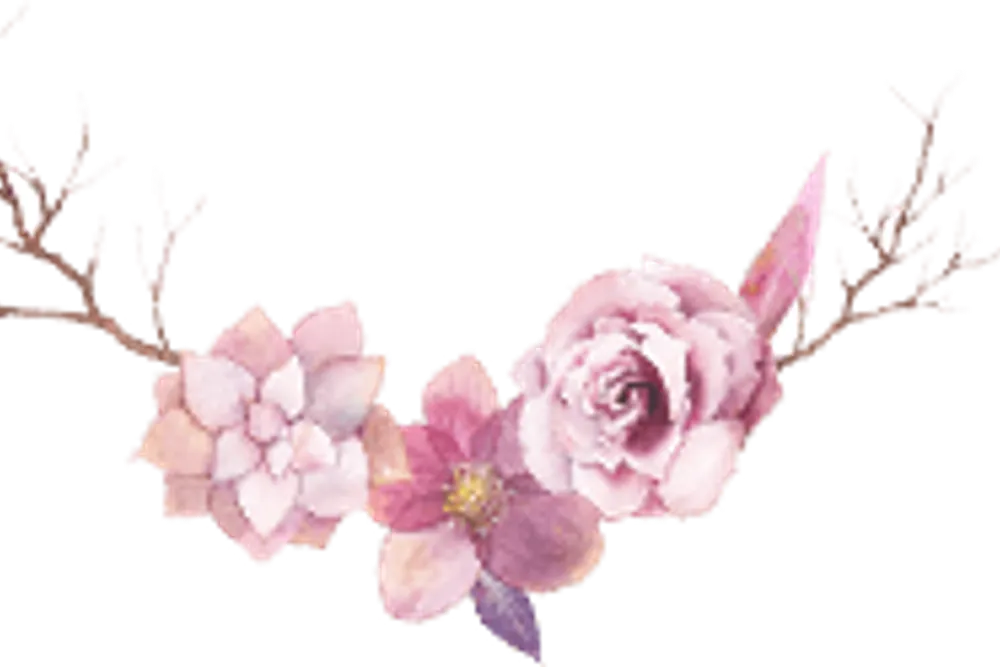 Scents Of Occasion