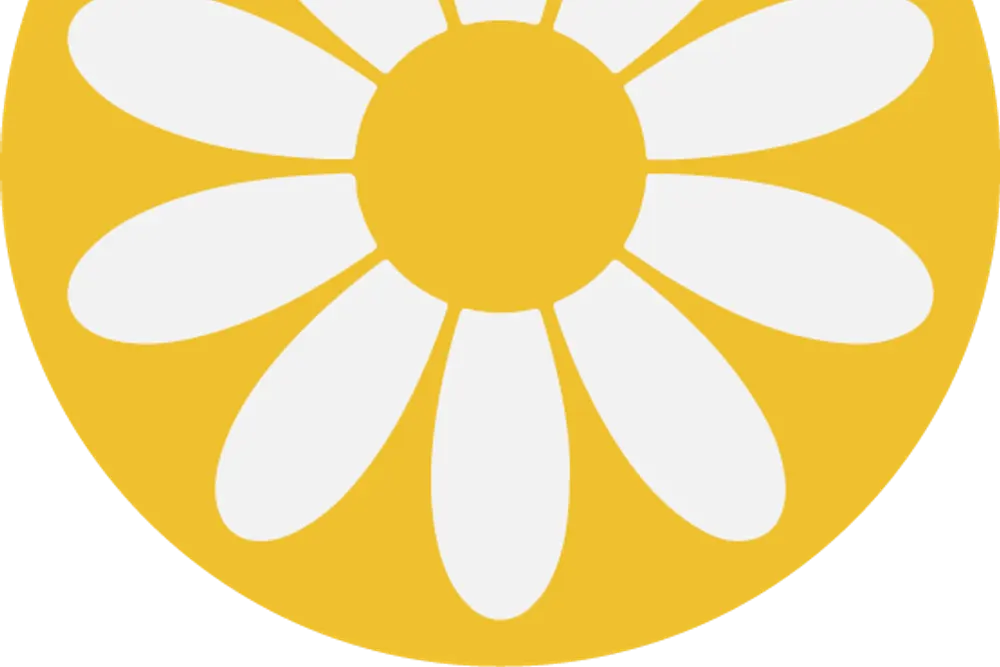 DaiseyMac Flowers