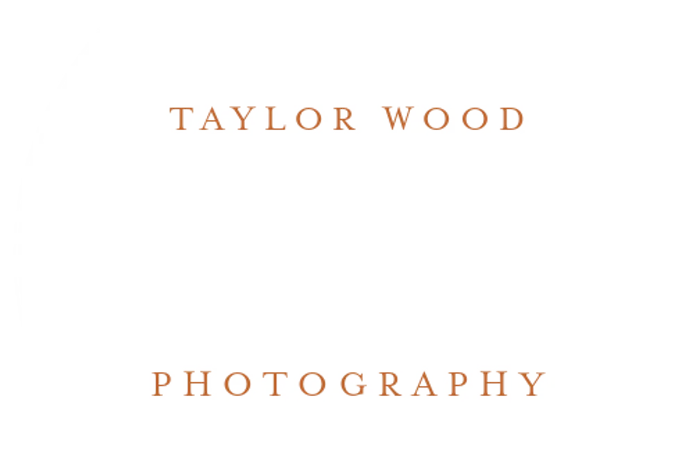 Taylor Wood Photography