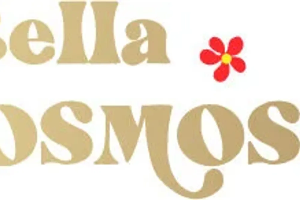 Bella Cosmos Flowers
