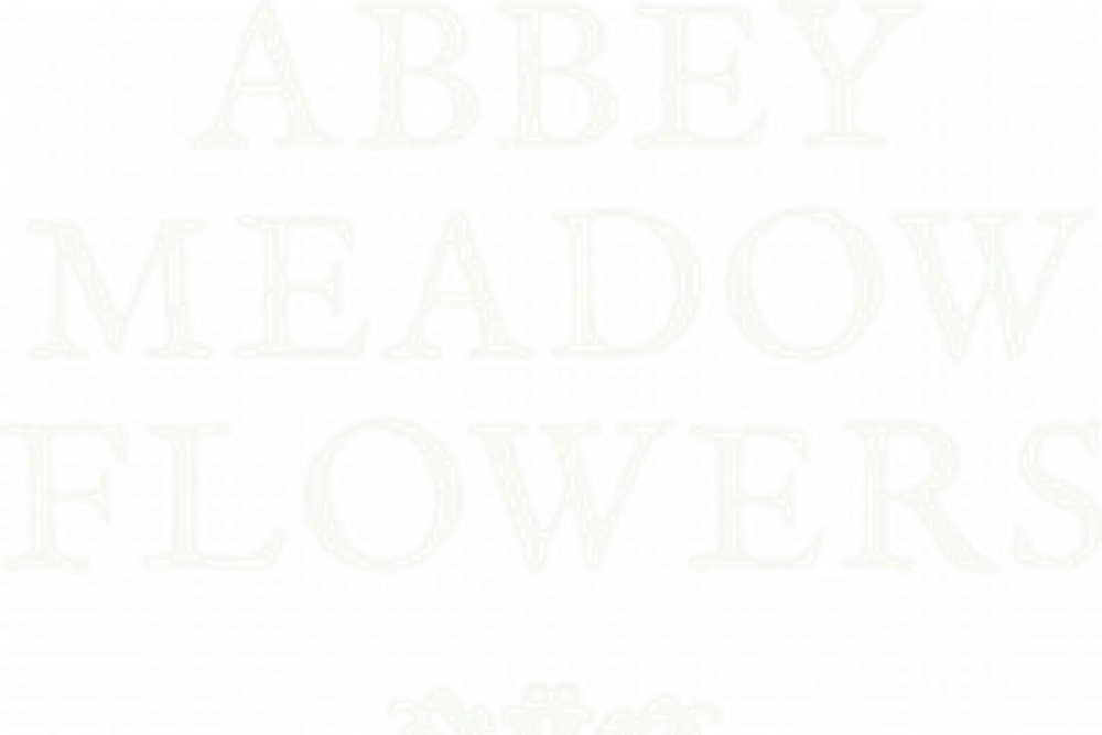 Abbey Meadow Flowers