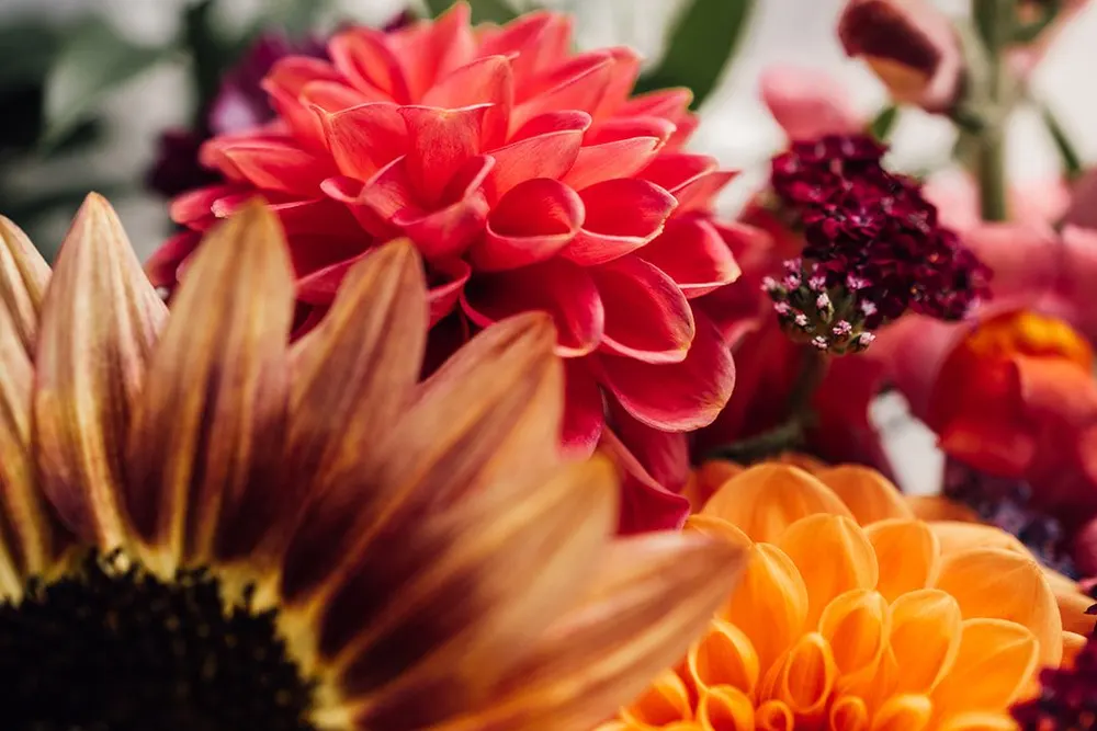 Emily Jane Bespoke Floral Design