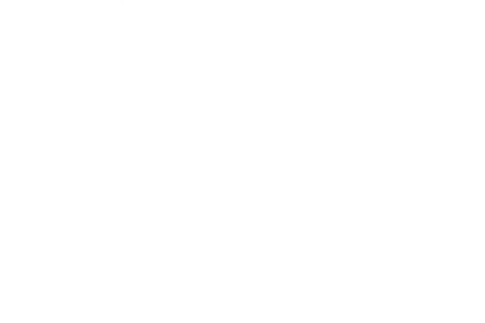 The Willows
