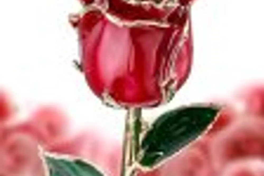 Quality Flowers & Cards