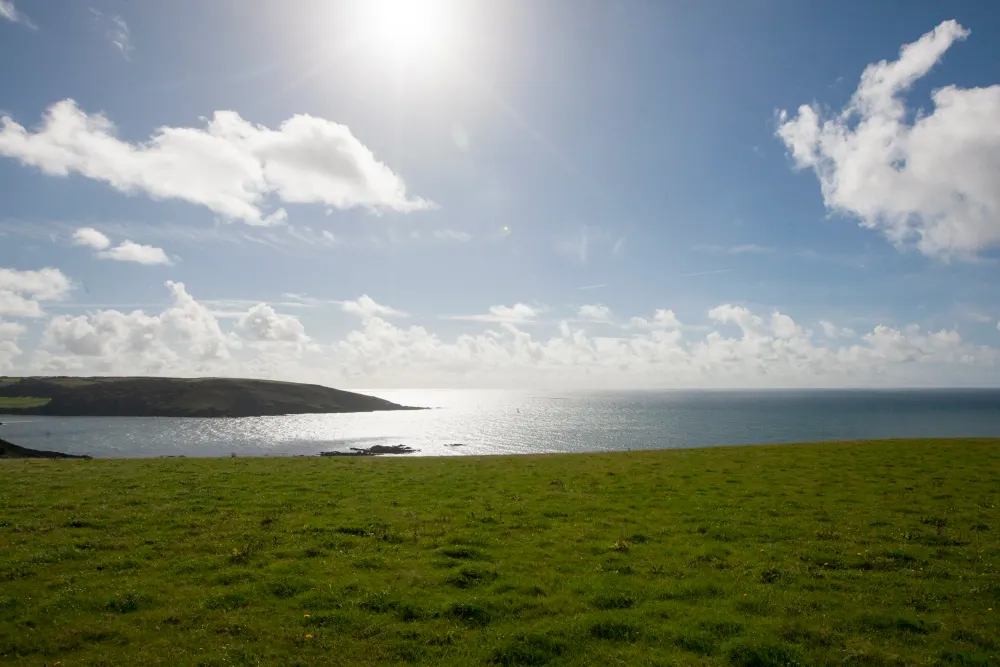 Wembury Weddings