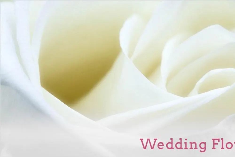 Sarahkellys Flowerroom