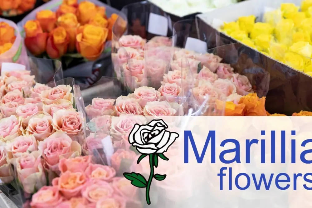 Marilliam Flowers Ltd