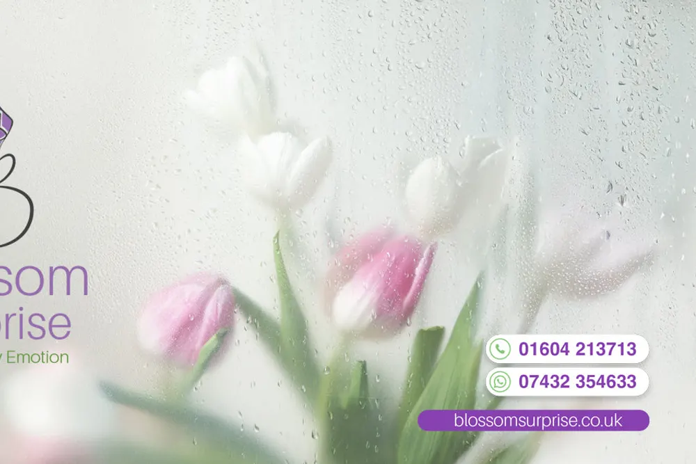 Blossom Surprise Ltd