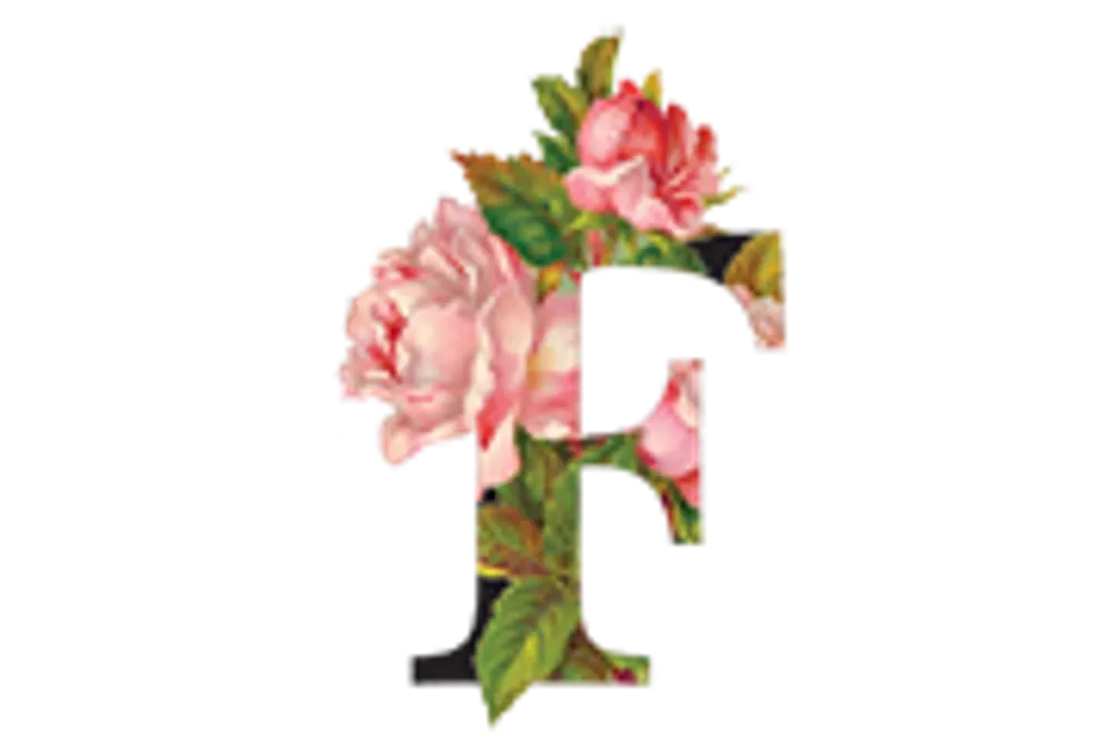 Flowers by Charlotte Davies