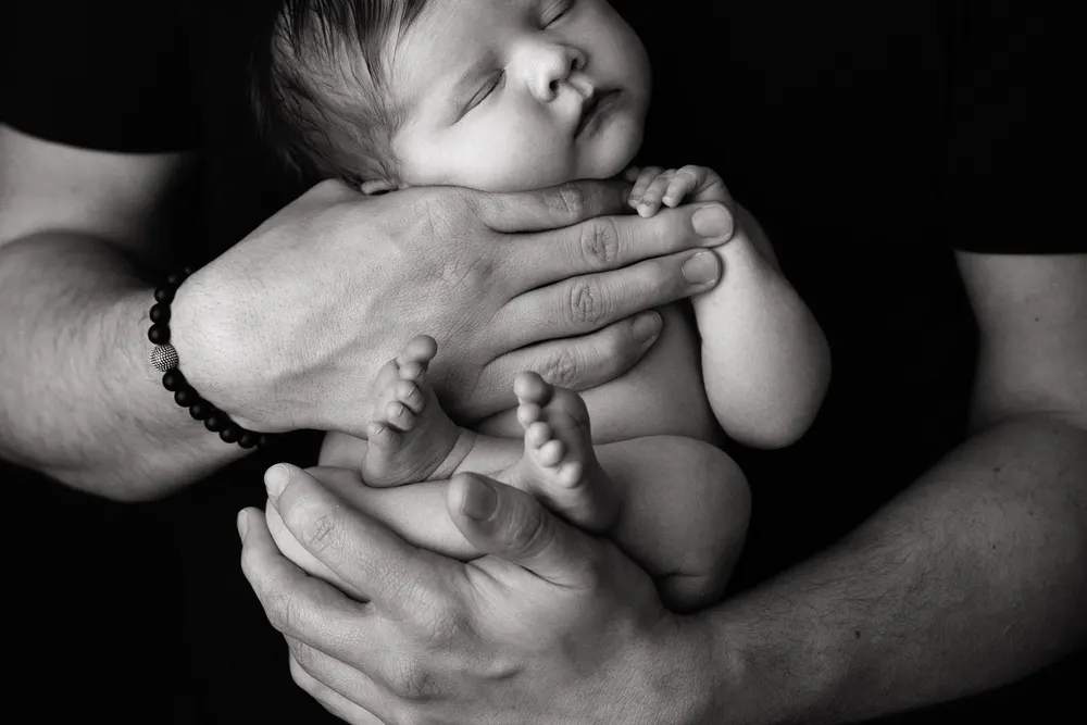 Little Wonder Photography