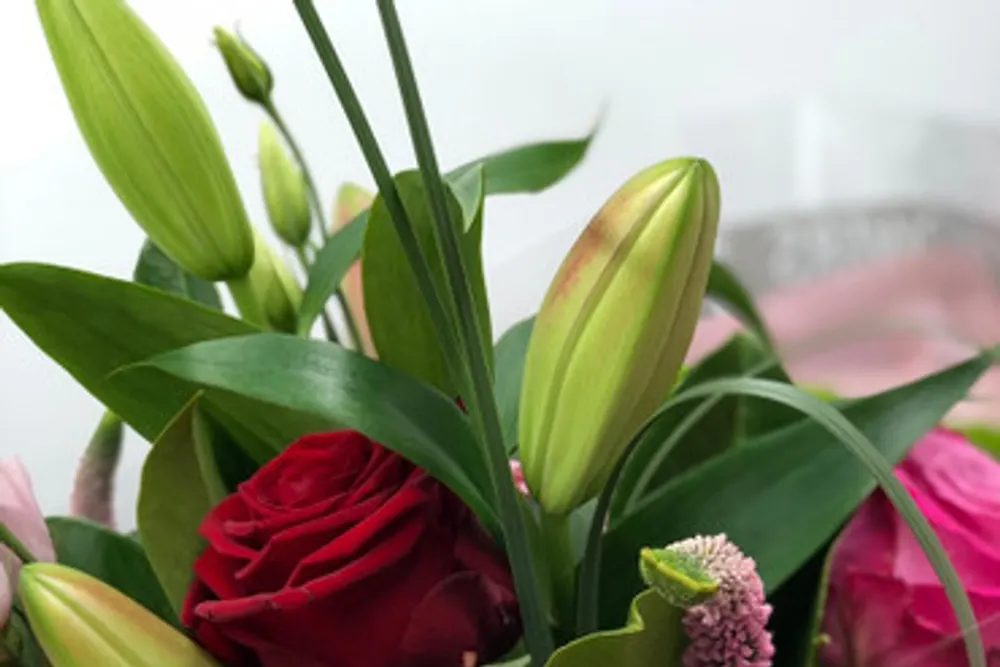 Contemporary Flowers