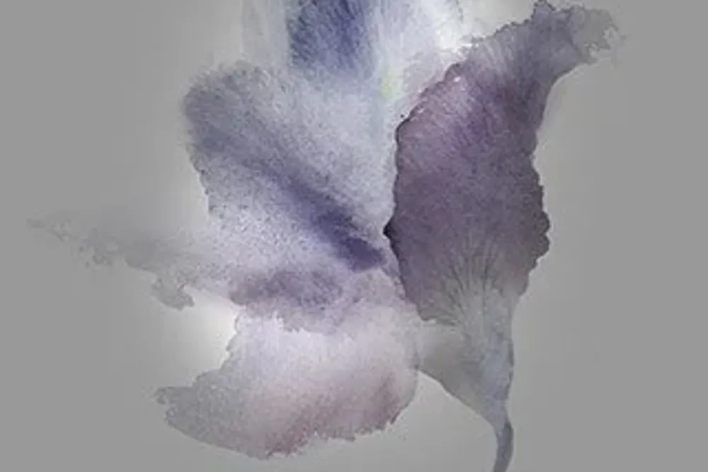 BluBelle Creative Artisan Floristry & Events