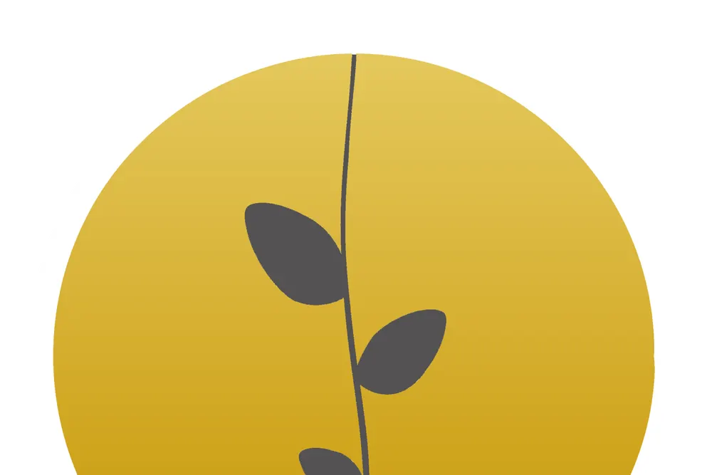 Mustard Seed