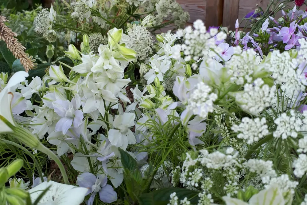 Perfect Patch Flowers