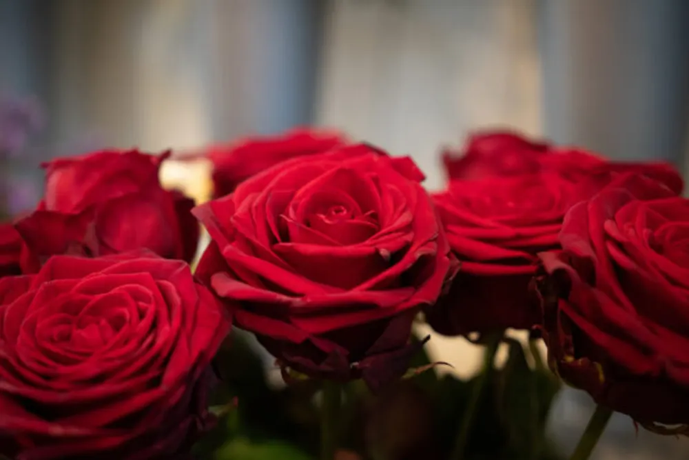 The Chapel Florist Ltd