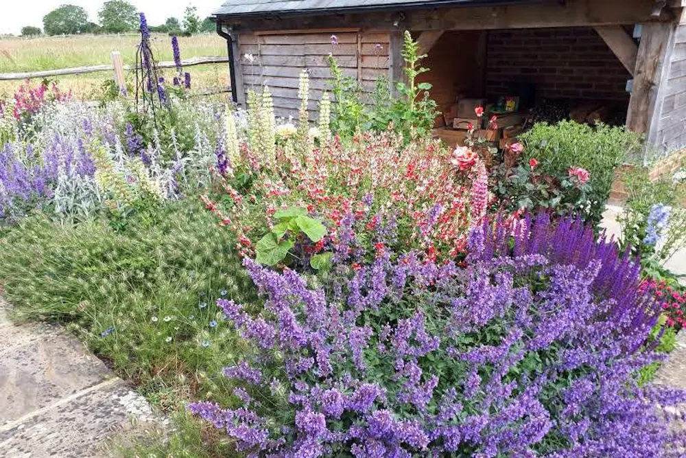 The Lady Gardener