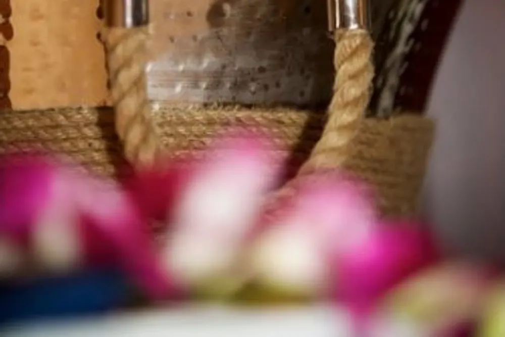 Dandelion Catering