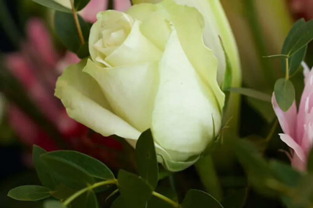 Regency Flowers