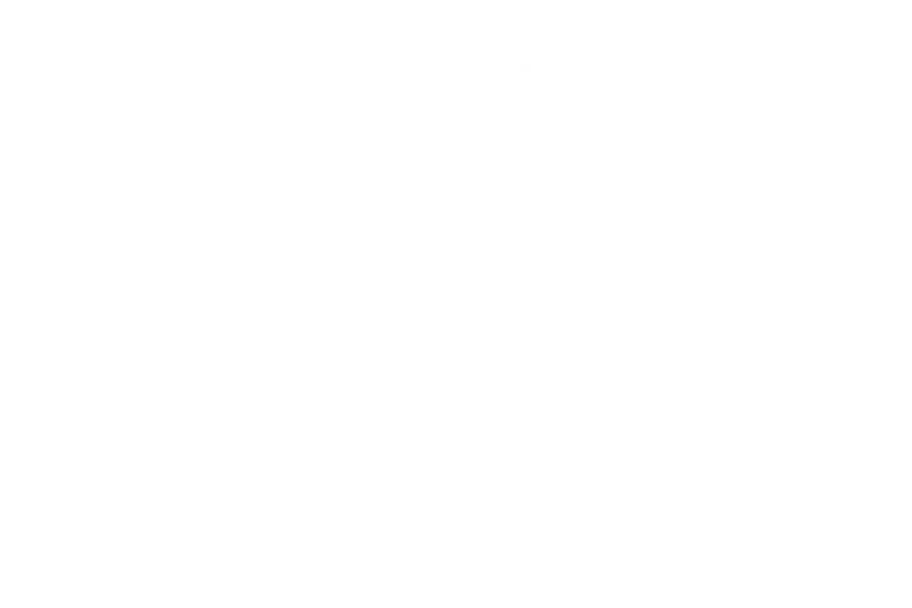 Four Seasons Florist