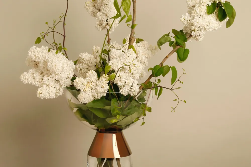Shimizu Flowers