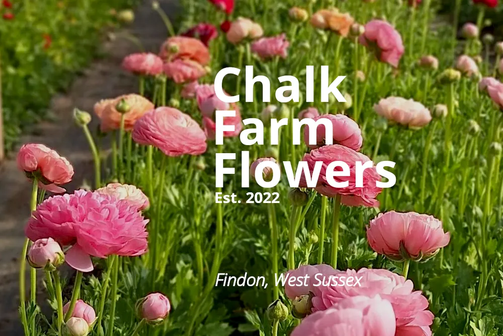 Chalk Farm Flowers