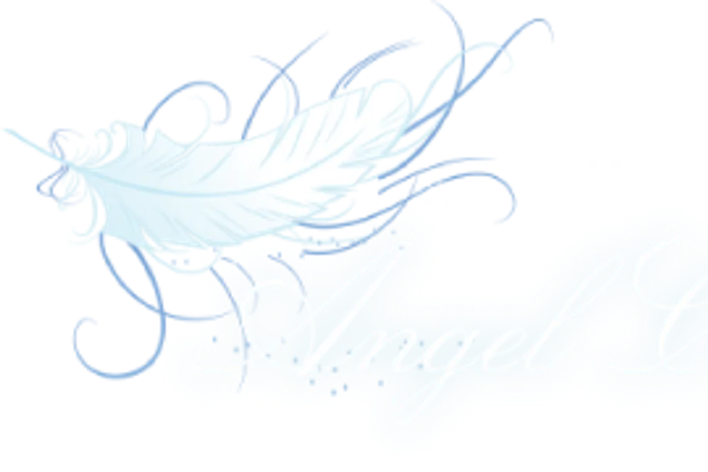 Angel Catering