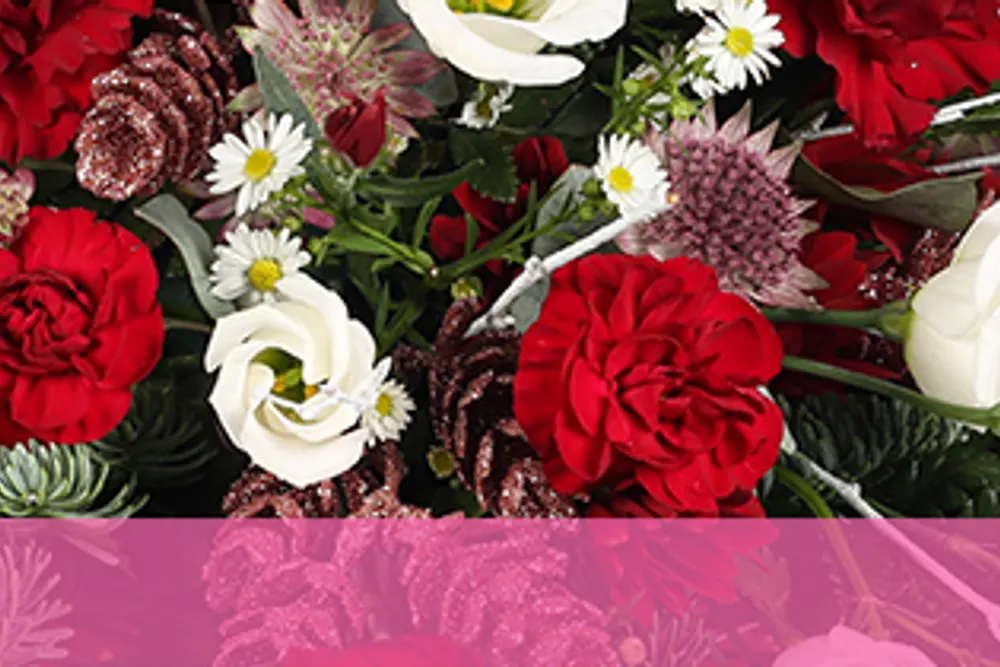Maddisons Florist