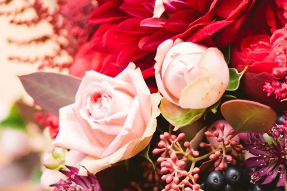 Melanie Webb Flowers