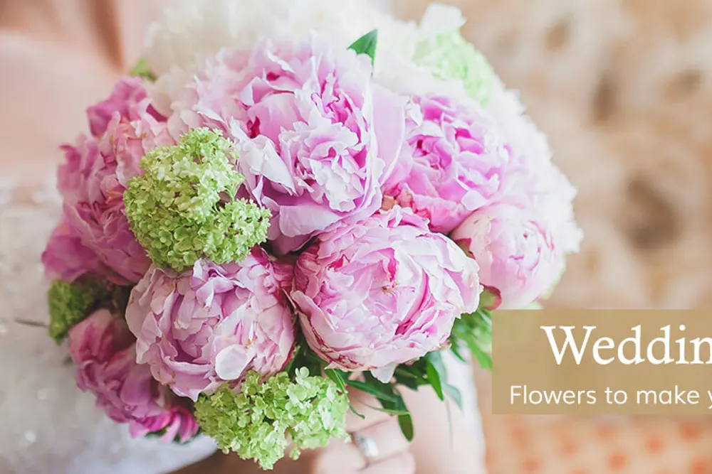 Hearts and Flowers