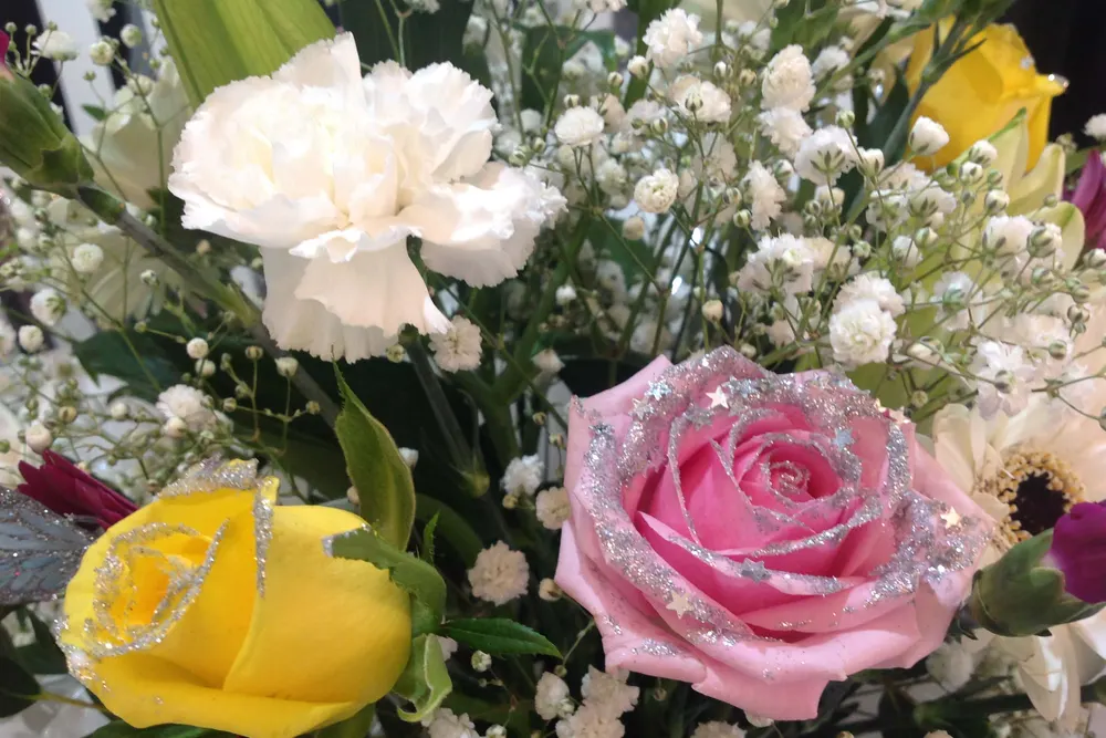 Daisy Bumbles Flowers & Gifts Tipton
