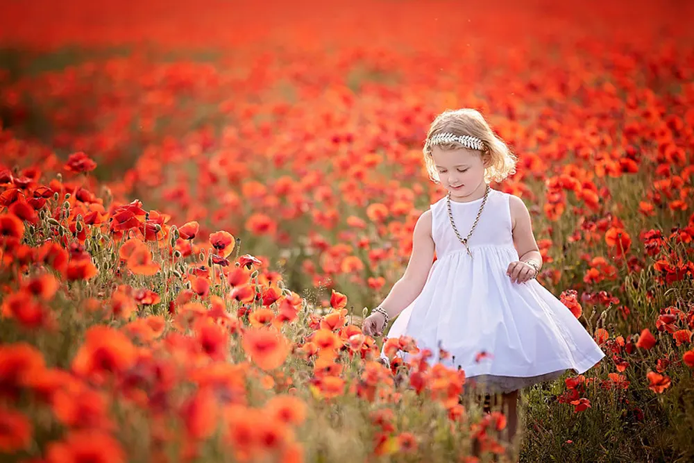 Theresa Elvin Photography