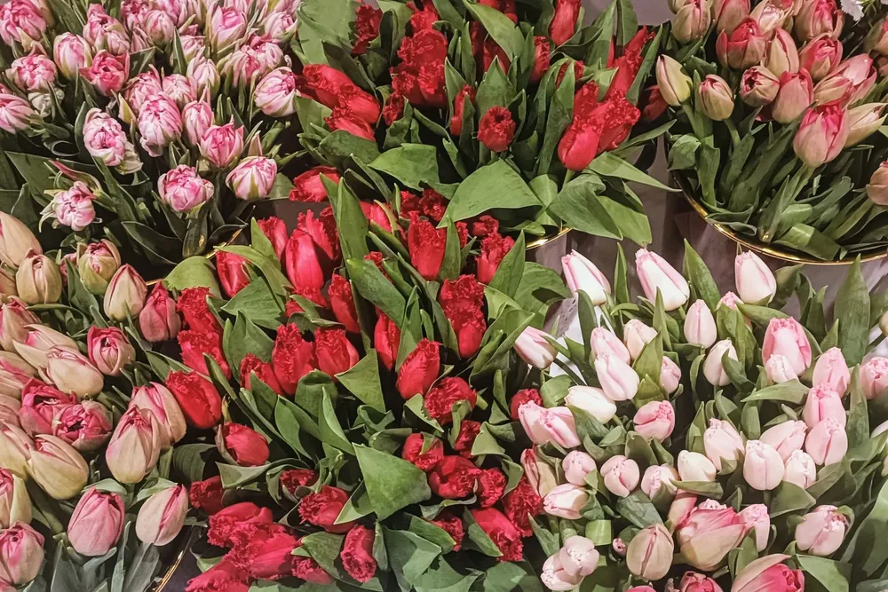 Side Farm Flowers