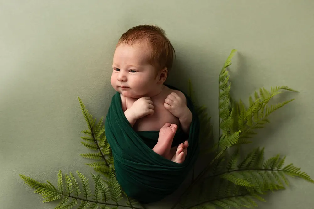 Rebecca Bridges Photography