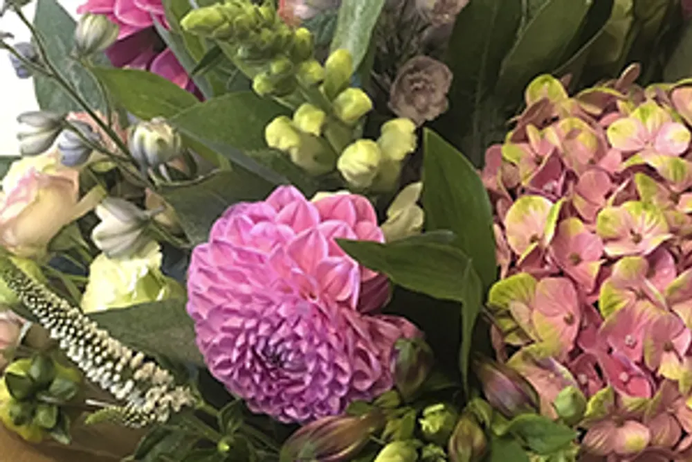Ribble Valley Flowers