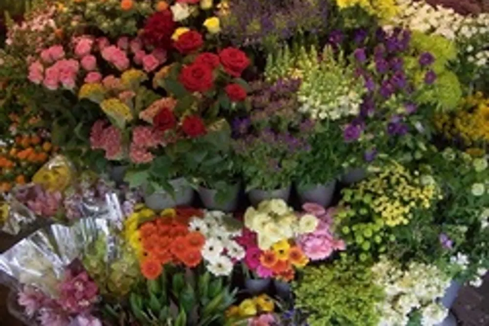 Bloomin Lovely Florists