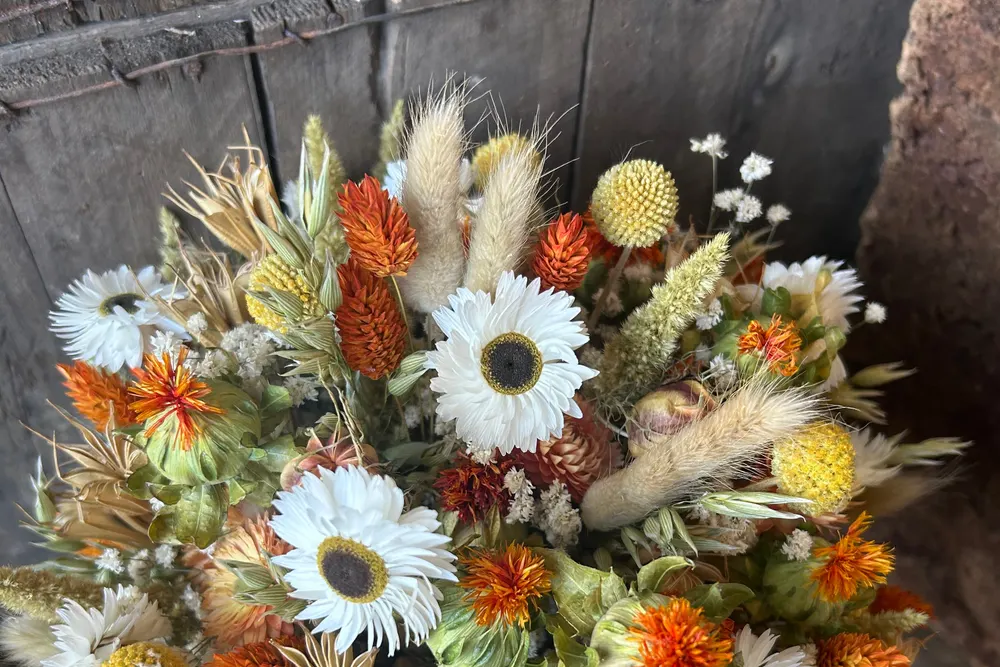 The Dried Flower Shop