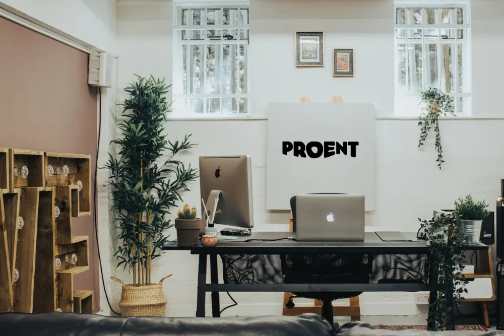 Pro Entertainment